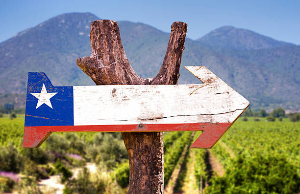 Rượu74; tin tức; rượu vang chile; lịch sử và nguồn gốc vang chile; các loại vang chile; rượu vang nhập khẩu; rượu vang hồ chí minh; rượu vang quận 